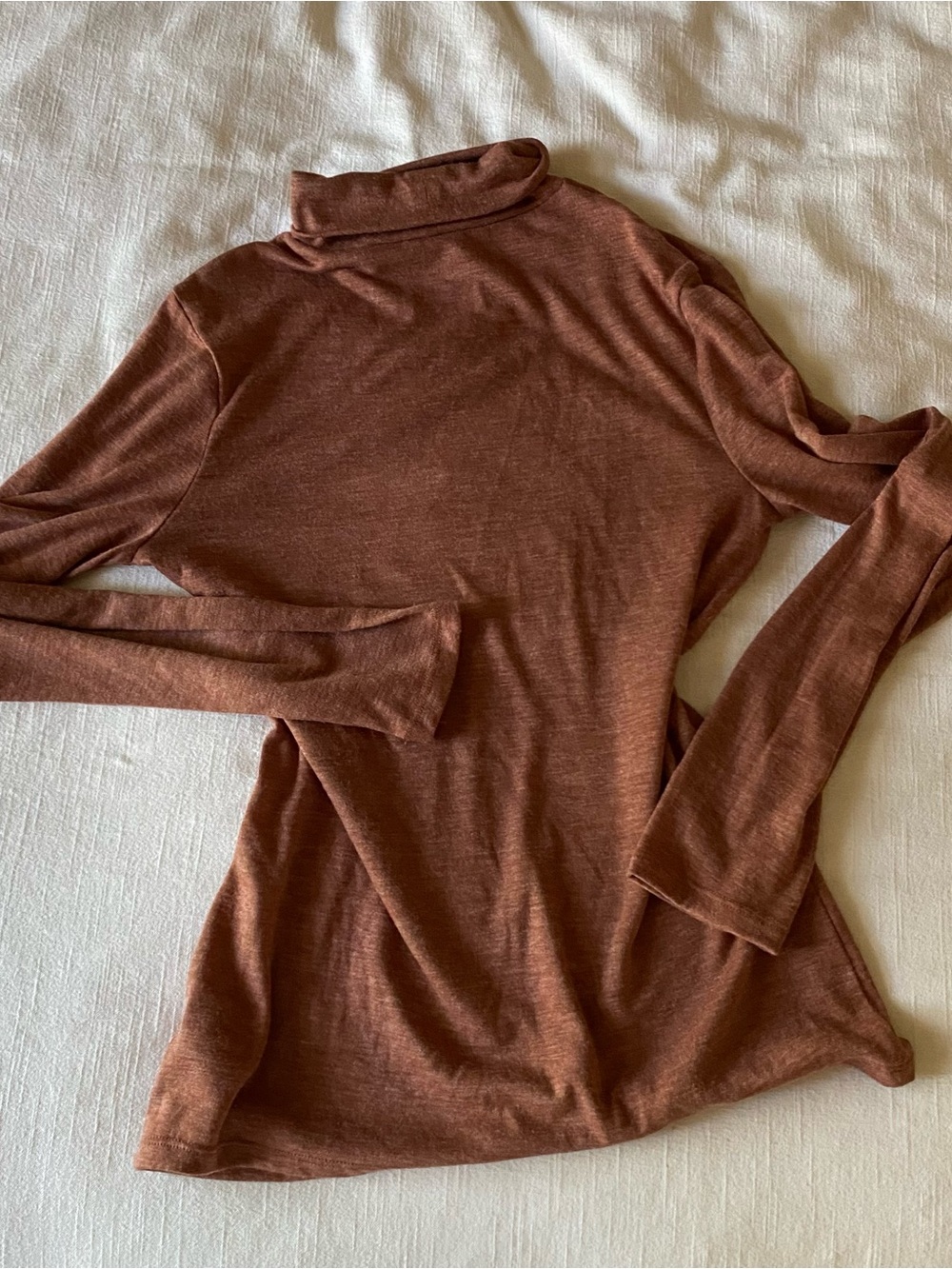 A New Day Turtleneck Top in Rust Brown